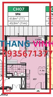 11576849601344235578