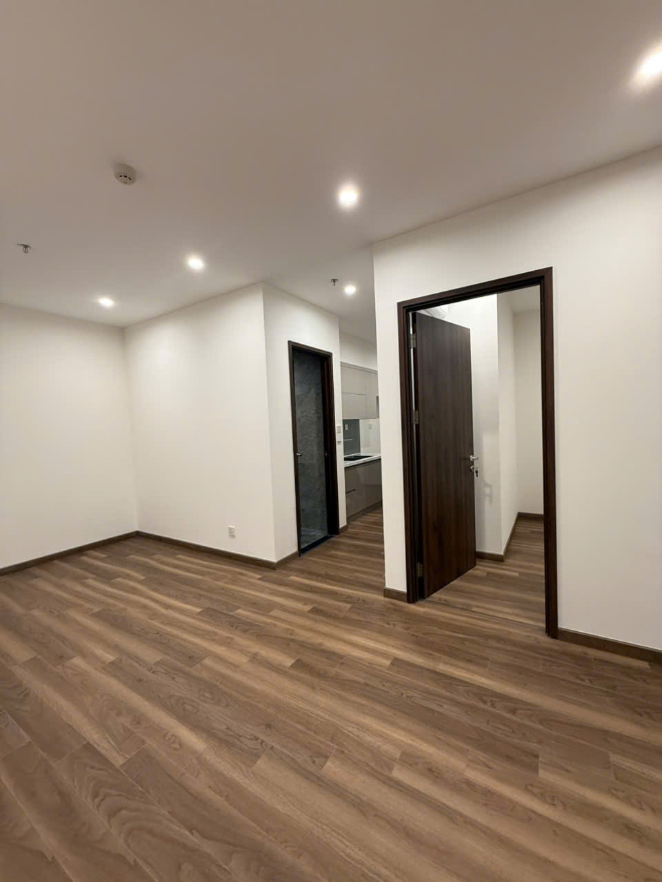 239121504037536563088